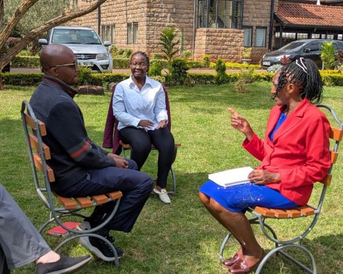 Introducing Accelerated Resolution Therapy (ART) to Healthcare Providers in Kenya